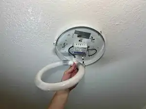 Circline Fluorescent Light Bulb