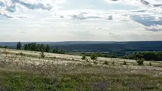 Typical view of steppe in Divnogorye