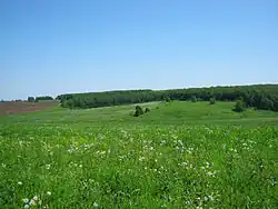 Field near village Tartely, Buturlinsky District