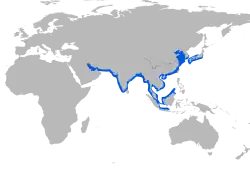 Narrow-ridged finless porpoise range (red color)