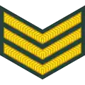 Sergeant (Swahili: Sajenti) (Tanzanian Army)