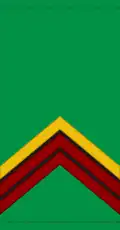 Caporal-chef (Malian Army)[14]