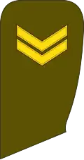 Seržantas (Lithuanian Land Force)[71]