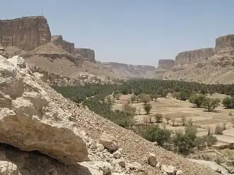 Wadi Doan