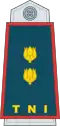 Lieutenant Colonel