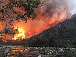 Thick gray smoke billows upward from an entire mountainside ablaze, partially reflected in a river in the foreground