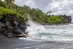 Crashing wave and vegetation