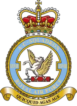 Squadron badge