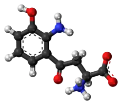 Ball-and-stick model of the 3-hydroxykynurenine molecule as a zwitterion
