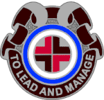 Distinctive Unit Insignia, 330th Medical Brigade