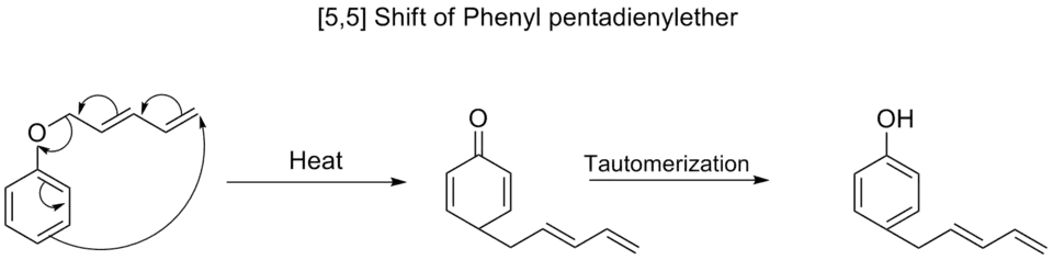 [5,5] shift of phenyl pentadienyl ether