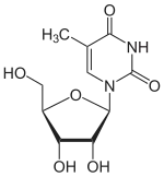 Chemical structure of 5-methyluridine