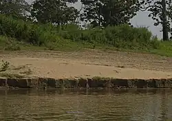 Amazon alluvium deposit