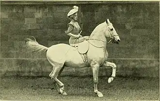 Sidesaddle riders use a whip to replace the missing right leg aid.