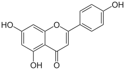 Apigenin