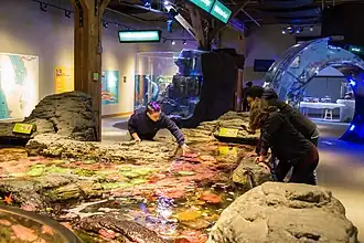 Touch tank in the Life on the Edge exhibit.