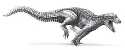 Araripesuchus wegeneri