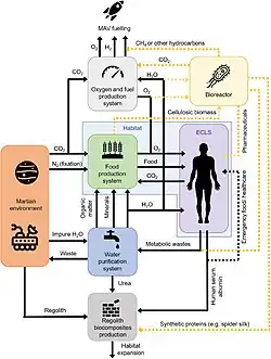 A hypothetical block diagram depicting how HSA could be produced in vivo from in situ resources available on Mars