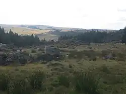 View of the Aubrac region near the Col de Bonnecombe [fr] mountain pass.