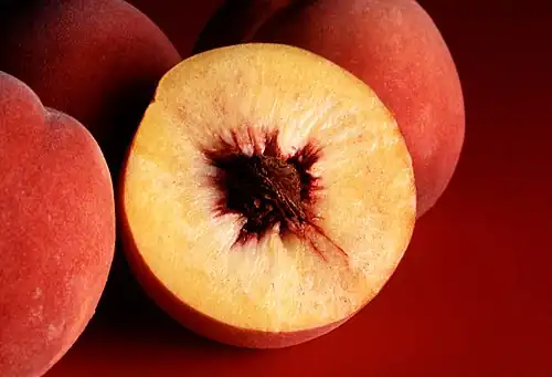 Cross-section of a peach, a monopyrenous drupe, cut to reveal the pyrene inside