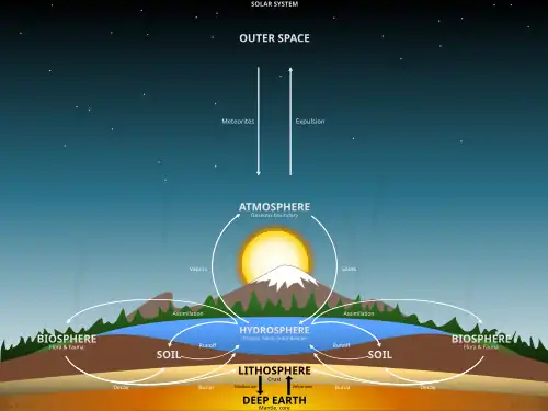 Examples of major biogeochemical processes