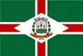 Flag of Murutinga do Sul