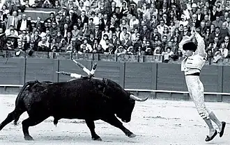 Second tercio: banderillero.