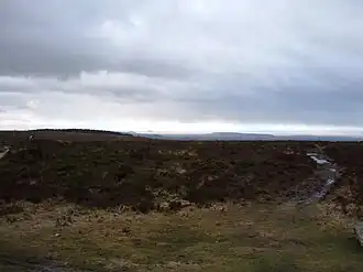 Dark coloured moorland stretching into the distance with grass in the foreground