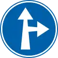 D3a: Turn right or ahead only