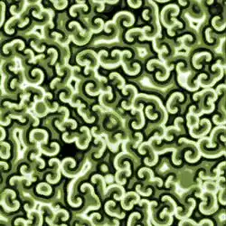 Snapshot of simulation of Belousov–Zhabotinsky reaction