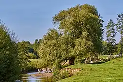 Berkel between Coesfeld and Gescher