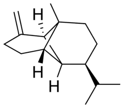 β-copaene