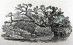 A print made from the block