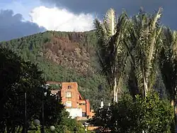 Burned forest October 2013