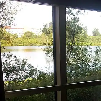 A small lake viewed from a hotel room