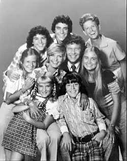 Family comedies like The Brady Bunch, Happy Days, All in the Family, and The Jeffersons gained notoriety, popularizing slang like "groovy".