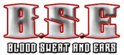 BSE Pro Wrestling logo