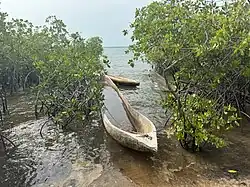 Dugout canoes in mangroves, Bubaque