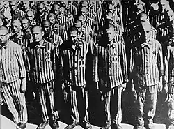 Dutch Jews wearing a yellow star and the letter N for Niederländer at Mauthausen[20]