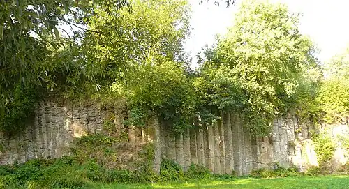 The Bühren Organ Pipes