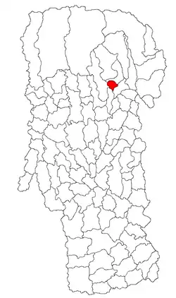 Location in Argeș County