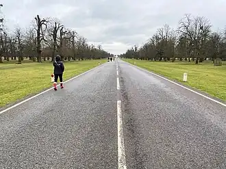 Chestnut Avenue Bushy Park