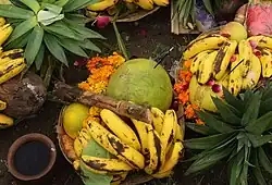 Chhat Puja with pomelo, India