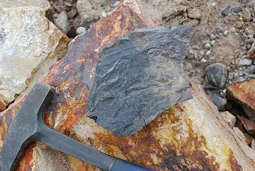 Organic shale of the Chipaque Formation