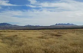 Cienega Valley, with the Whetstones and the Mustang Mountains in the background.