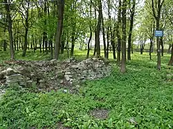 General view of the Jewish cemeteries in Dukla. In the foreground are the ruins of the pre-burial house, behind them the old cemetery, and in the background the wall of the new cemetery