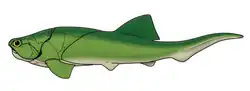 Life restoration of Coccosteus, an arthrodire placoderm