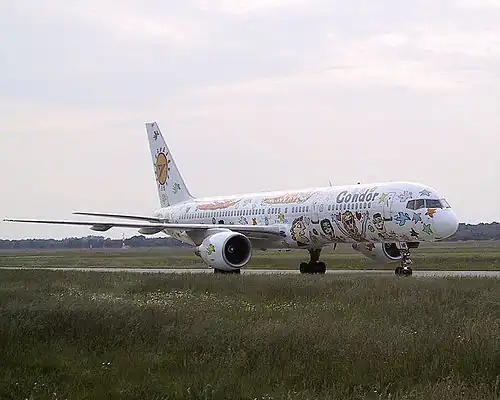 Rizzi's design on a Boeing 757, the "Rizzi Bird".