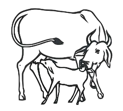 Approved symbol of Indira Gandhi Congress