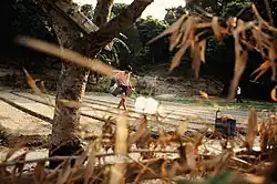 A farmer holding a steel watering can in each arm, watering along a furrow in a soil field.